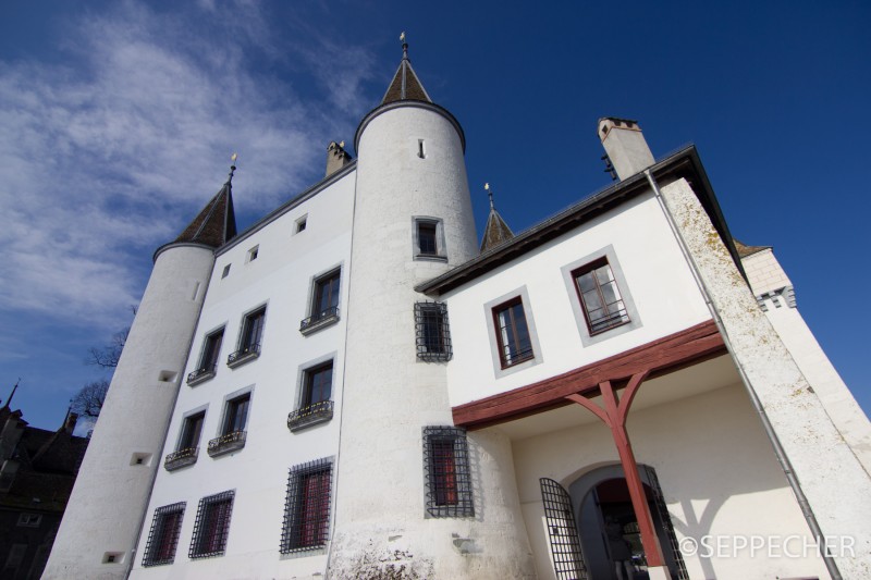 Château de Nyon