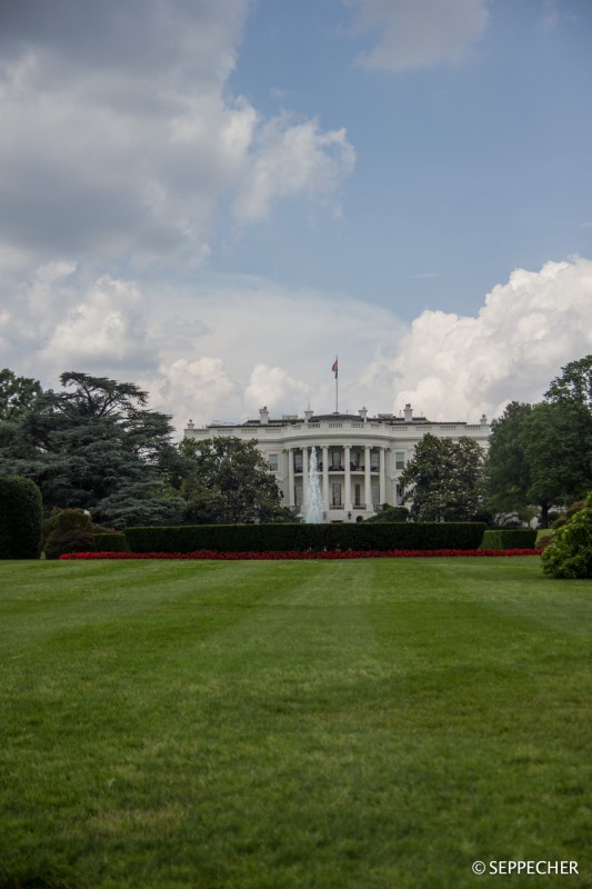 White House 