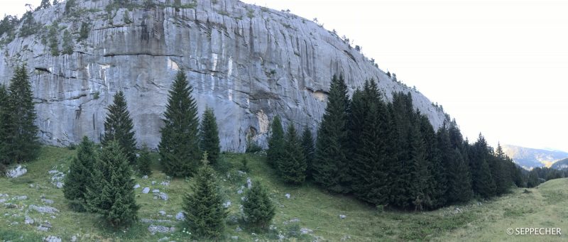 Le beau mur de Ablon.